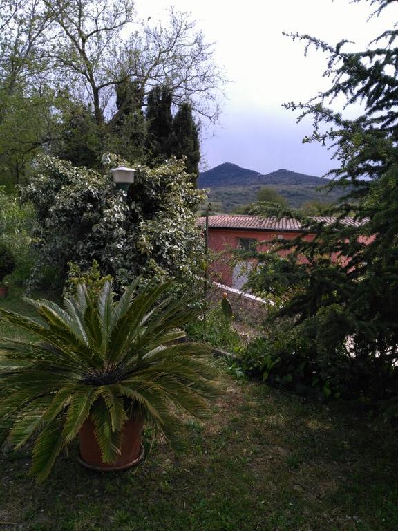 Agriturismo Usurtala Orani Eksteriør billede