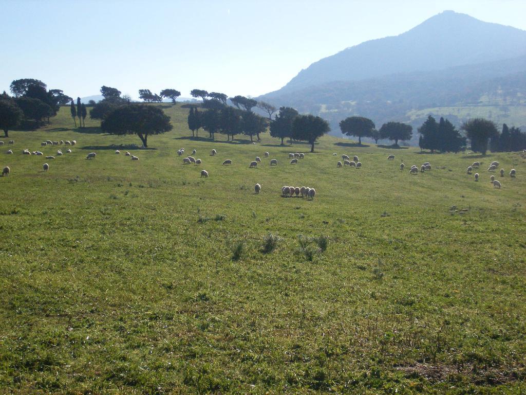 Agriturismo Usurtala Orani Eksteriør billede